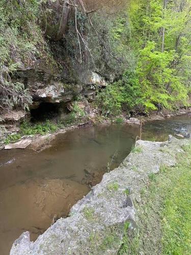 Surrounding environment, Sheppard's Holler in Logan (WV)