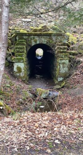 Surrounding environment, Sheppard's Holler in Logan (WV)