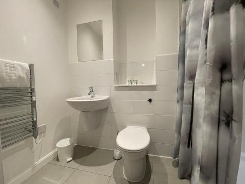 Large Two-Bedroom Apartment image 8