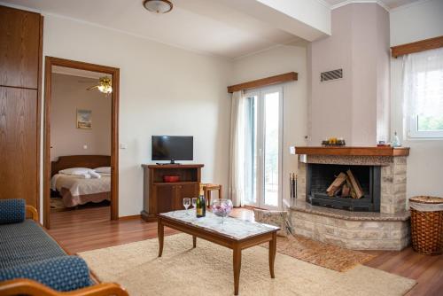 Ξένη resort, Karpenisi (foto 3)