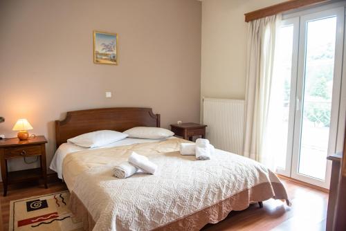 Ξένη resort, Karpenisi (foto 5)