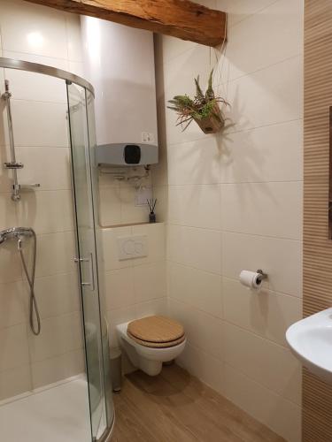 Apartmán Sýkorka (Apartman Sykorka) in Hartmanice