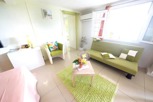 Appartement charmant à Rivière-Salée 45 m² avec terrasse privée - image 2