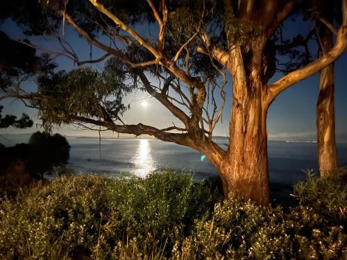 Beachside Taroona with Spa