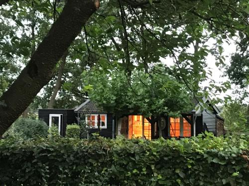  De Túnfûgel (tiny house), Pension in Jonkersland bei Oudeschoot