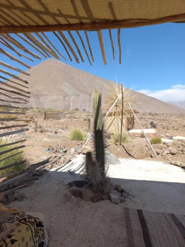 Campo de Cielo Mamalluca Valle de Elqui