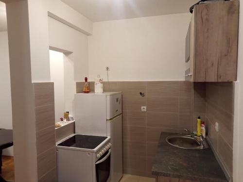 Lux Apartment Rose 2 60m2 in Kragujevac