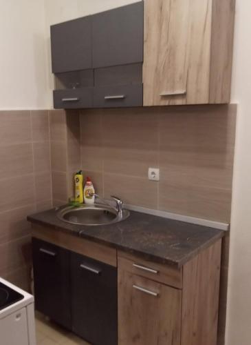 Lux Apartment Rose 2 60m2 in Kragujevac
