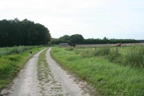 B&B De Drentse Es - image 2