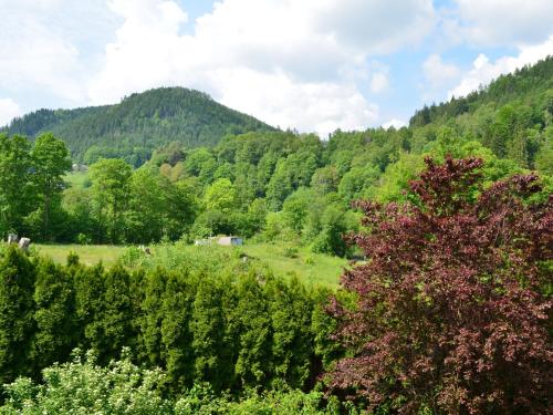 Wohnen am Kurpark Bad Wildbad