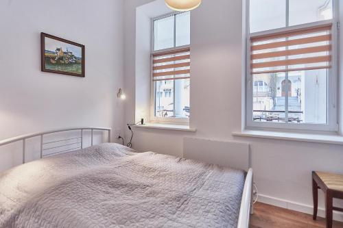 One-Bedroom Apartment image 9