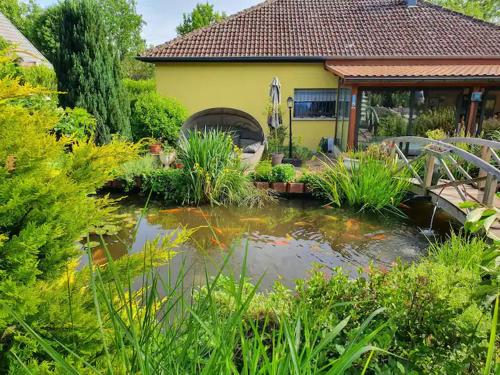 Schönes 4 Zimmer Haus mit Japanischem Garten gîte à louer Blotzheim