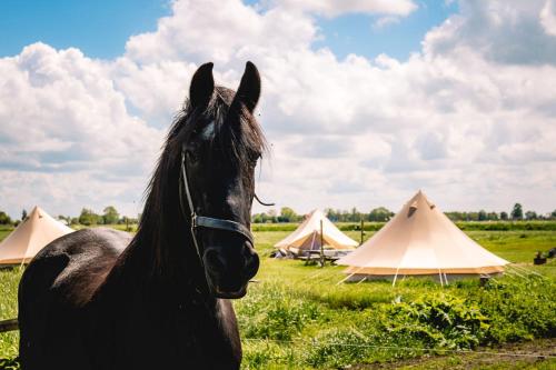 Smuk Lytse Bell Tent