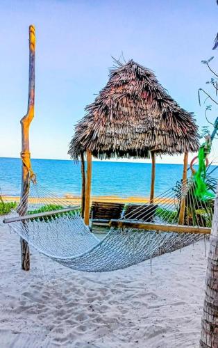Ushongo beach bandas in Pangani