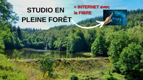 Studio aux Sources de la Chabanne - Location saisonnière - Saint-Hilaire-les-Courbes