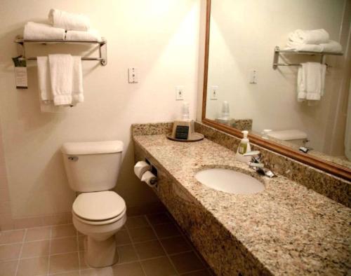 Comfort Inn & Suites at I-74 and 155 - image 2