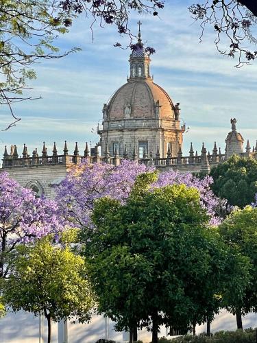 Ibis Jerez De La Frontera Cadiz - image 4
