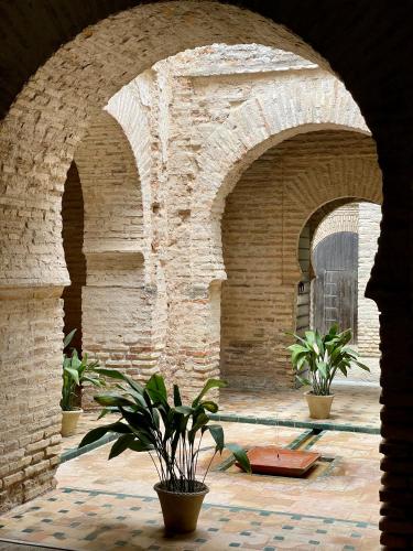 Ibis Jerez De La Frontera Cadiz - image 8