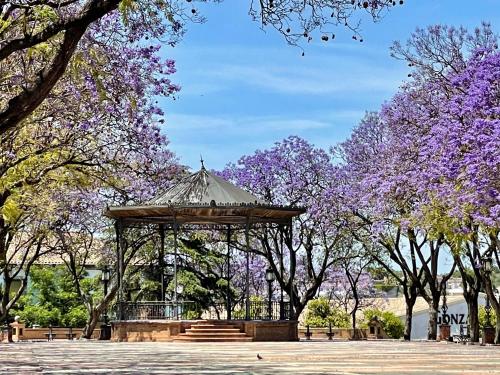 Ibis Jerez De La Frontera Cadiz - image 12