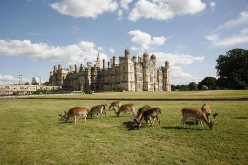 The Stables