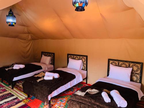 Sahara Wellness luxury camp