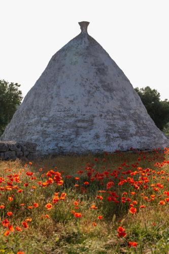 Masseria San Paolo Grande