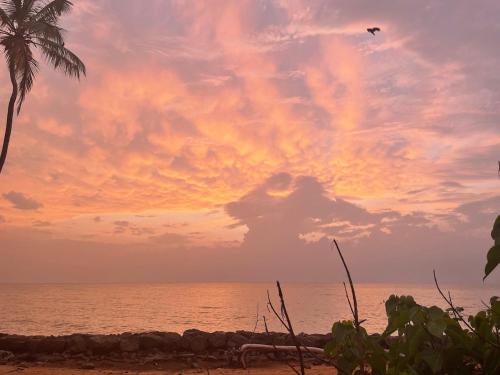 ISAMAR FRONT BEACH