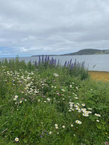 Rocky Harbour Oceanfront