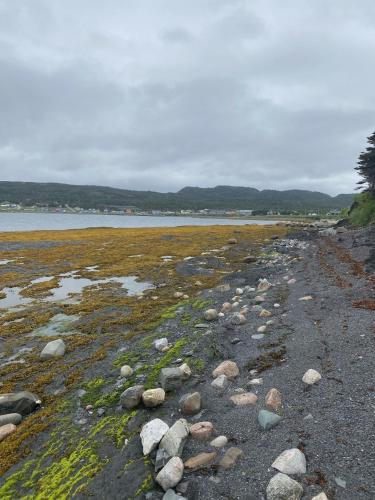 Rocky Harbour Oceanfront