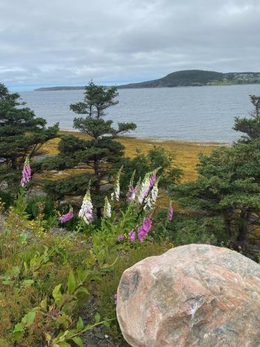 Rocky Harbour Oceanfront