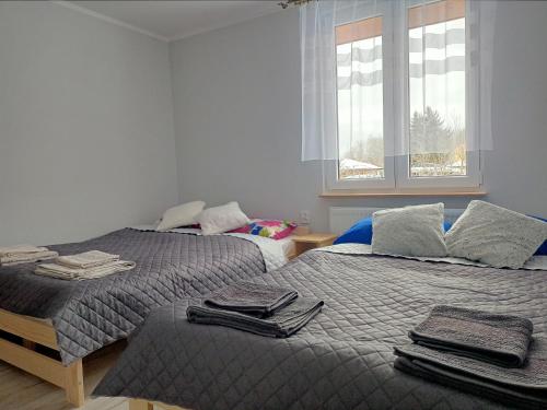 BRZOZOWY GAJ AGROTURYSTYKA in Jedlanka Stara
