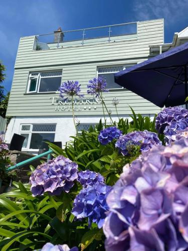 Tremarne Hotel 3