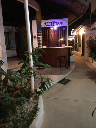 Pura Vida Hostel, Tamarindo