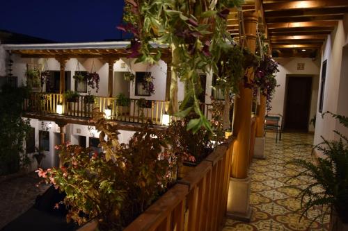 정원, Casa Morasan Hotel-Boutique in 퀘트잘텐난고