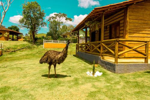 Hotel Fazenda Minha Glória