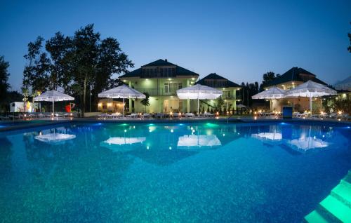 Dyuny Zolotye Hotel - image 8