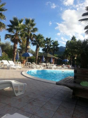 Hotel Miami - image 5