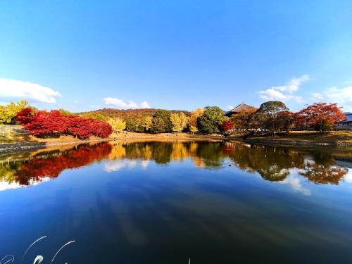 Nara Park Blue Sky