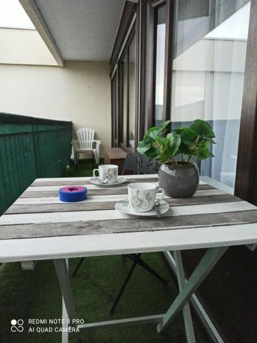 M & L in อาบิลิ