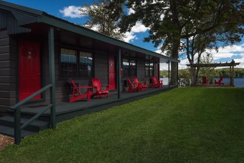 Great Pines - image 2
