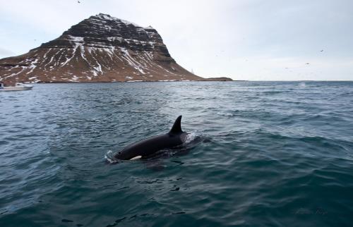 Grundarfjördur Hostel 5