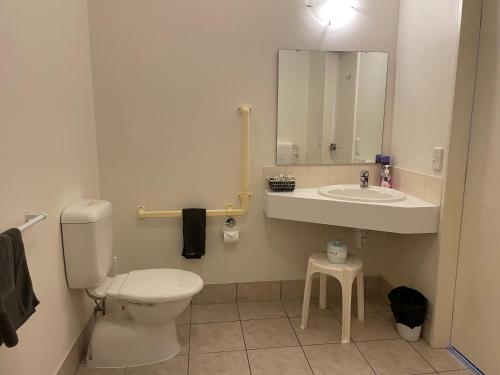 Ascot Motor Lodge - image 3