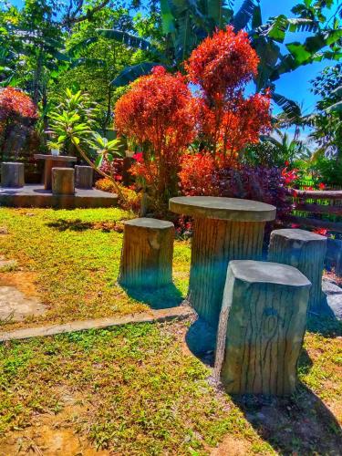 สภาพแวดล้อมโดยรอบ, Pondok rinjani bungalow tetebatu in ซิกูร์