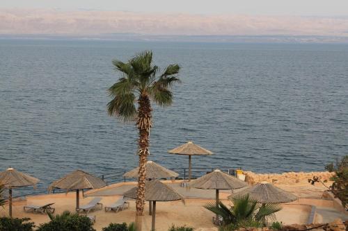 Samarah Dead Sea Resort Studio-CP6 Traveler Award 2023 Winner