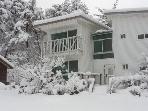 ヤンヤン Blue Sky Milky Way Pension シングルルーム プール