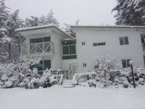 ヤンヤン Blue Sky Milky Way Pension シングルルーム レストラン