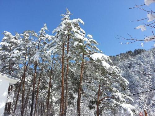 Blue Sky Milky Way Pension