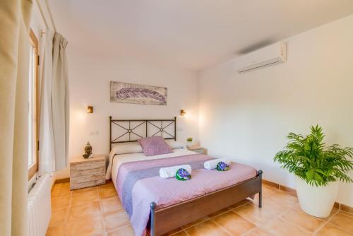 Ideal Property Mallorca - Can Sito