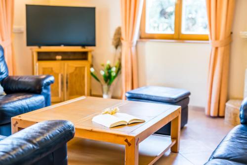 Ideal Property Mallorca - Aran Berna - image 4