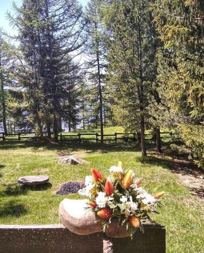 Chalet ridente, Col De Joux (Aosta Valley) gîte à louer Chatillon